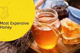 The Most Expensive Fish and Shellfish in the World