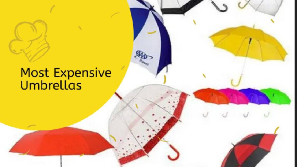 Most Expensive Umbrellas
