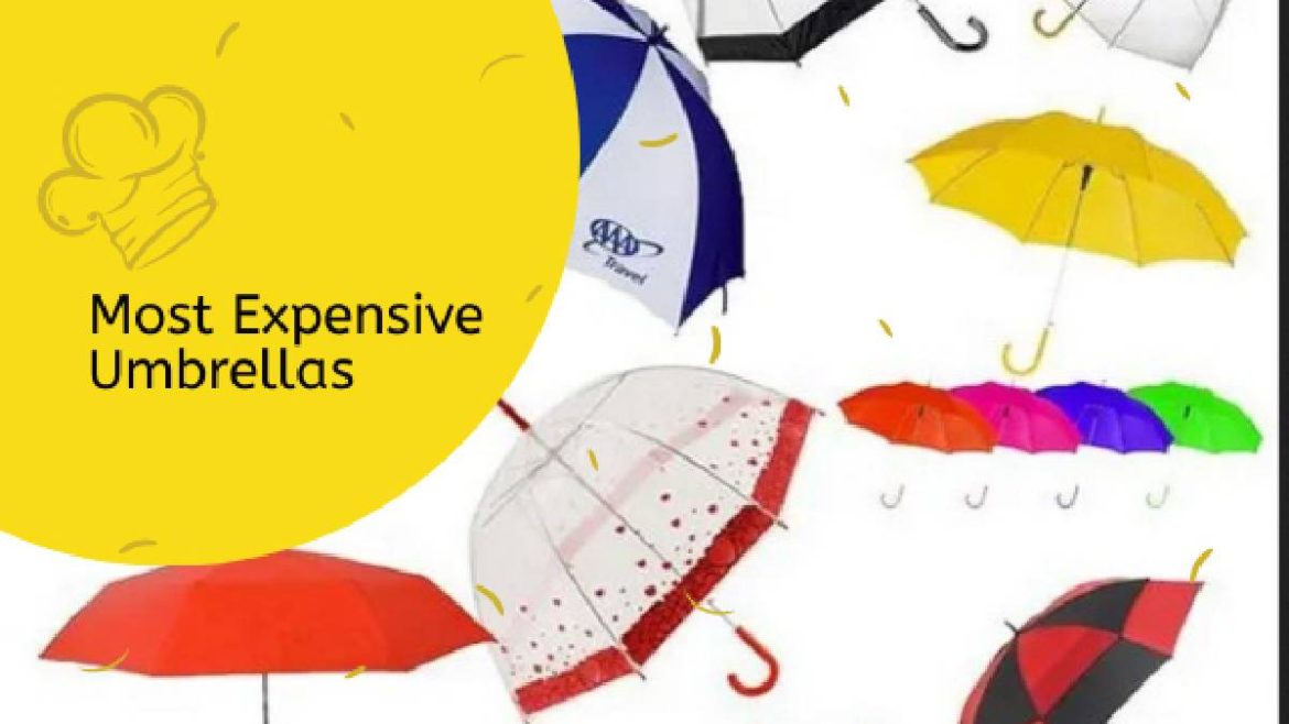 Top 10 Most Expensive Umbrellas in the World Most Expensive Magazine