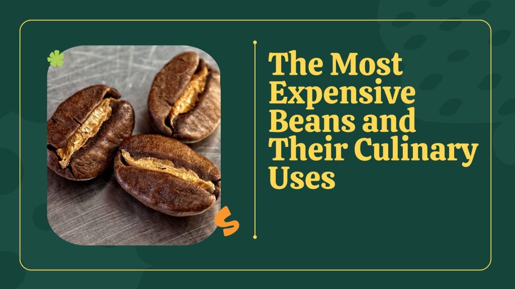 the Most Expensive Beans and Their Culinary Uses