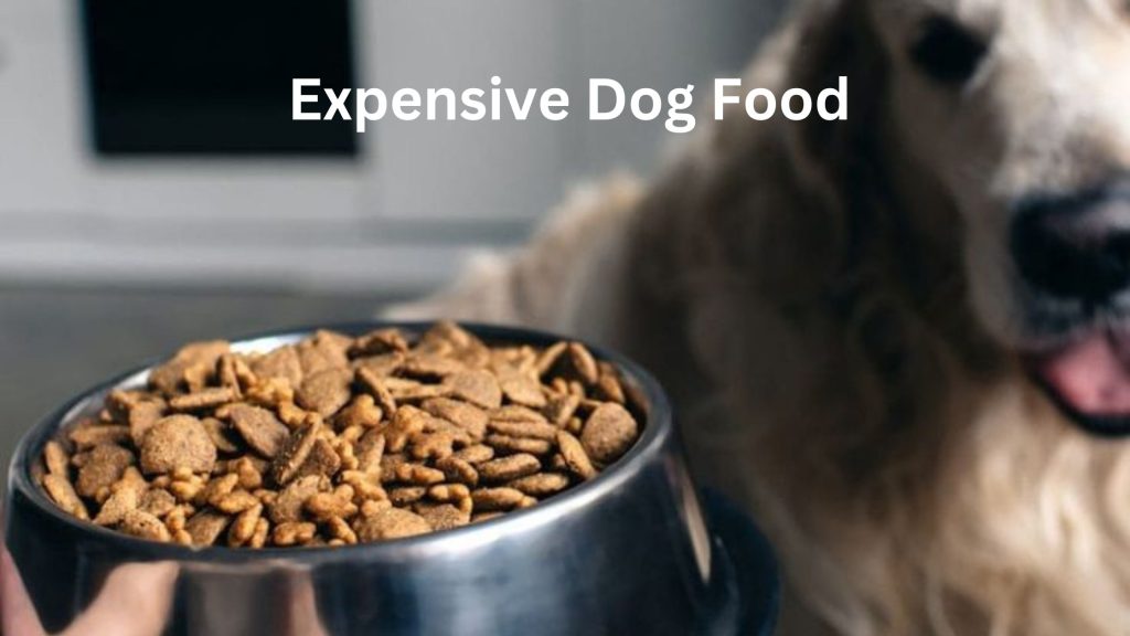 Expensive Dog Food