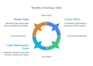 Expensive Tesla Car