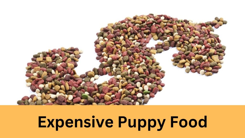 Expensive Puppy Food