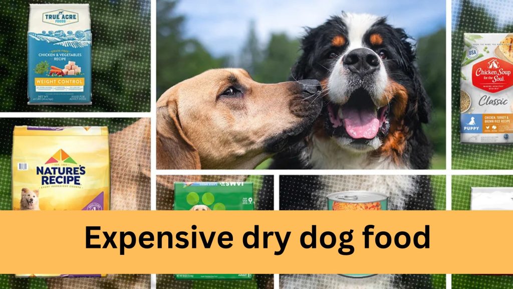 expensive dry dog food