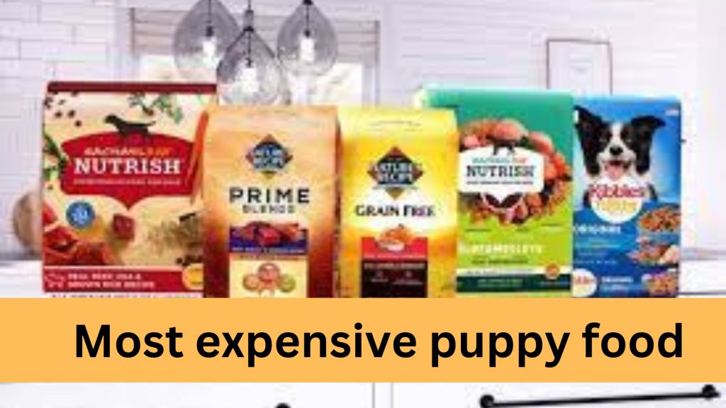 most expensive puppy food