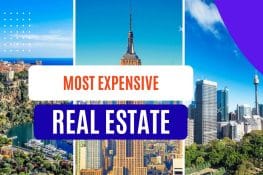 The Most Expensive Fish and Shellfish in the World